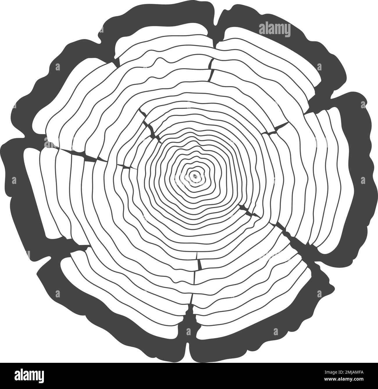 Tree Rings Show History