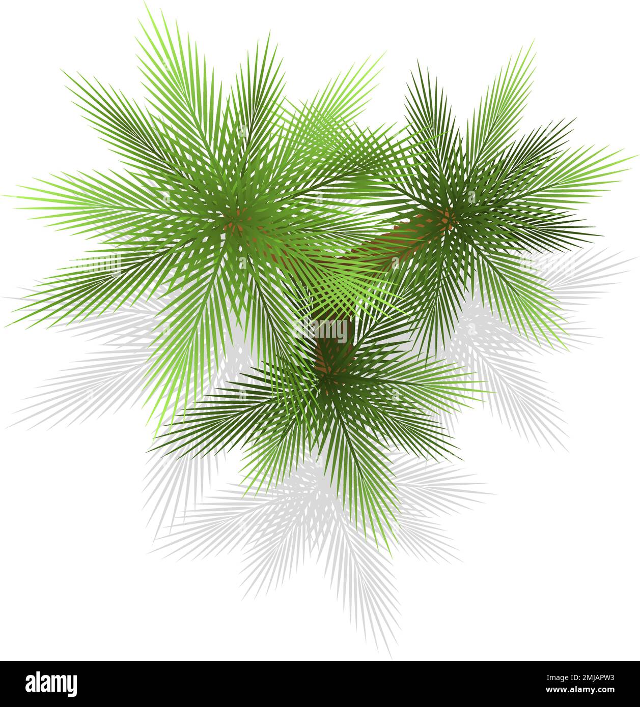 My Image 28