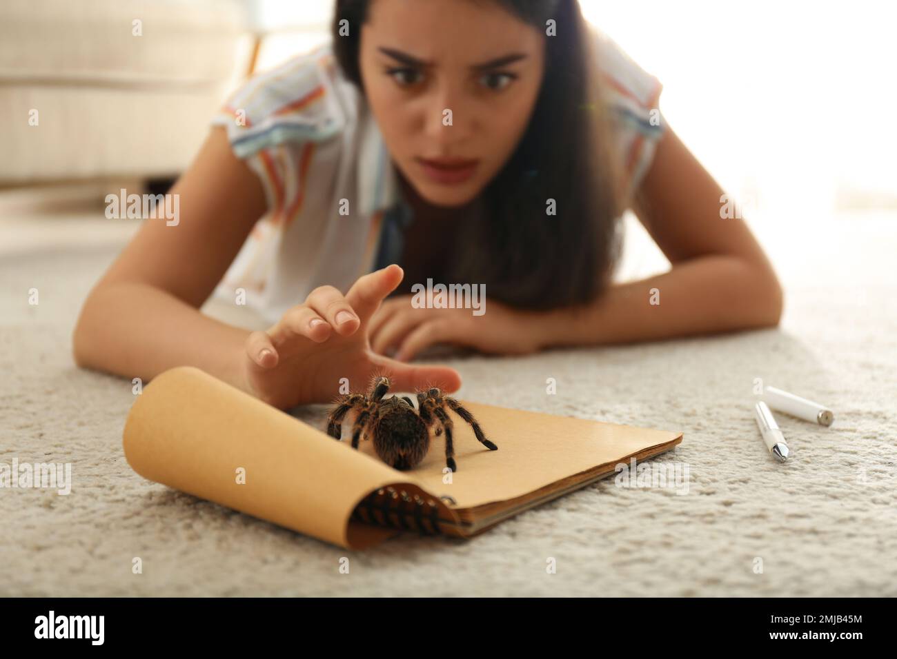 Young woman and tarantula on carpet. Arachnophobia (fear of spiders