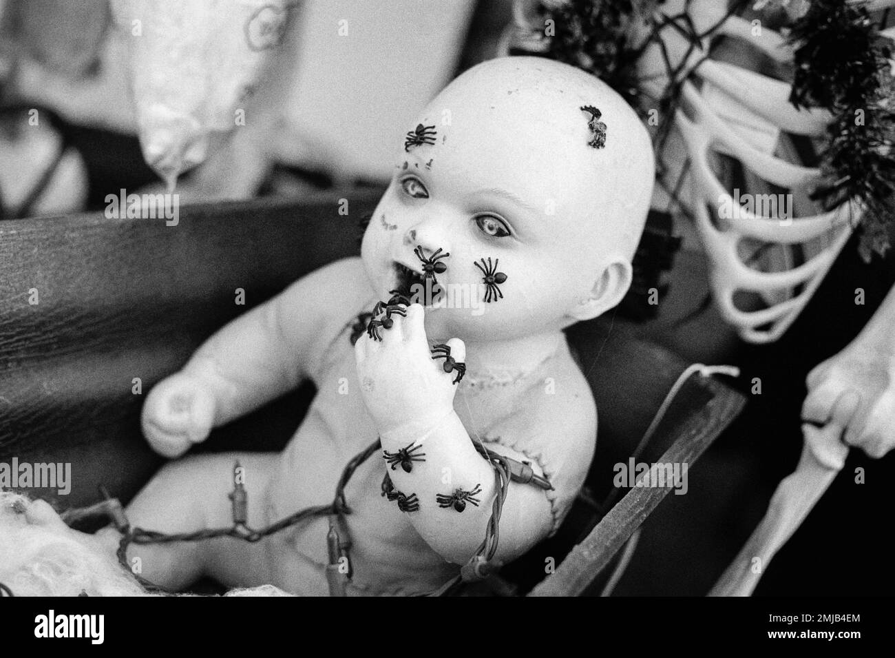 A baby doll appears to be eating spiders that cover its body in a Halloween display at the Deerfield Fair, New Hampshire. Image was captured on analog Stock Photo