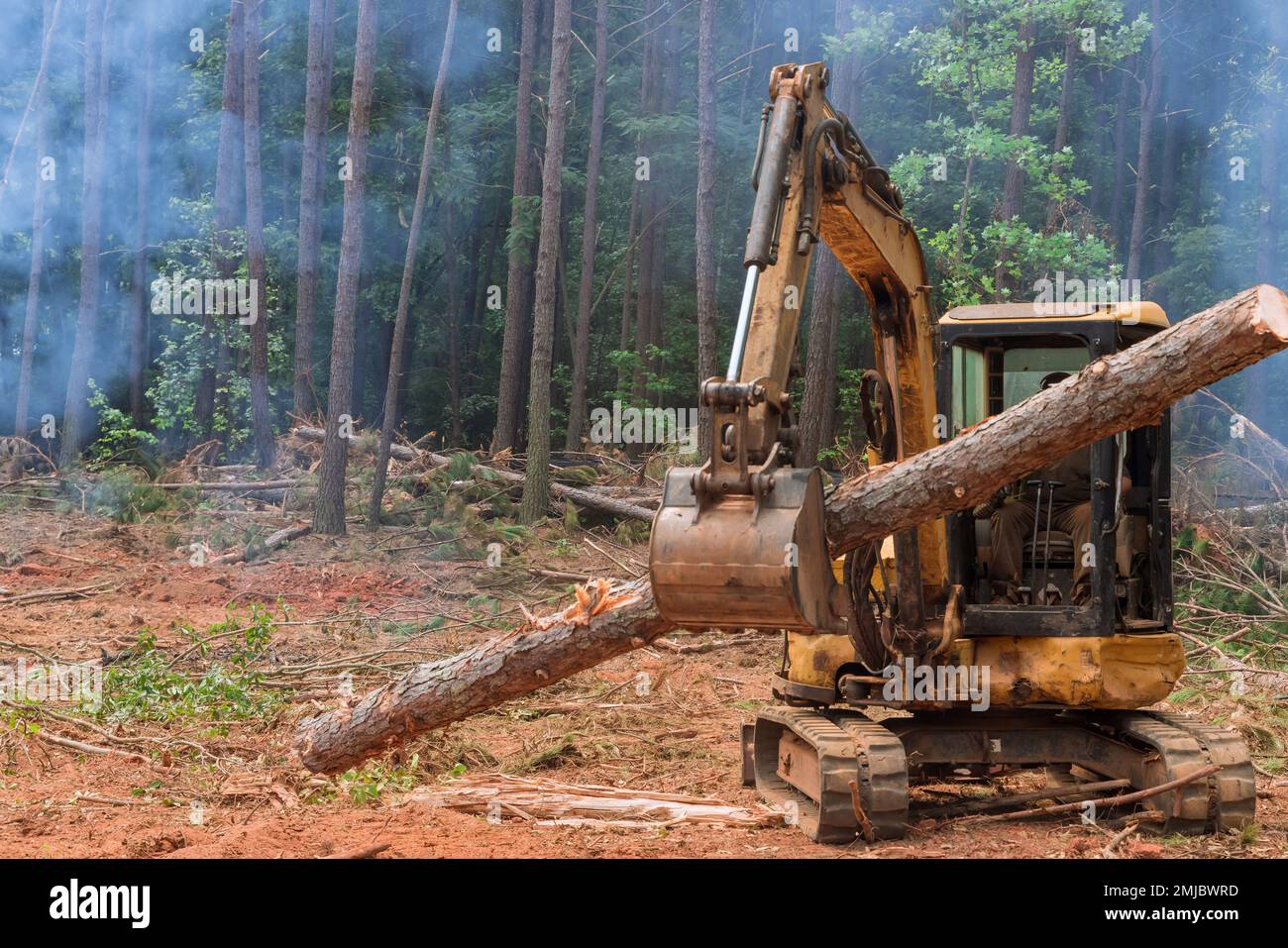 As part of deforestation process tractor manipulator lifts logs from trees and uproots them to prepare land to be used for housing construction. Stock Photo
