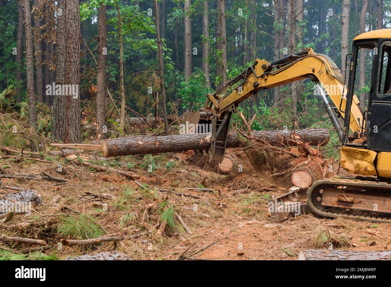 It is an uprooting trees using tractor manipulator then lifting logs to prepare land for construction of housing development. Stock Photo