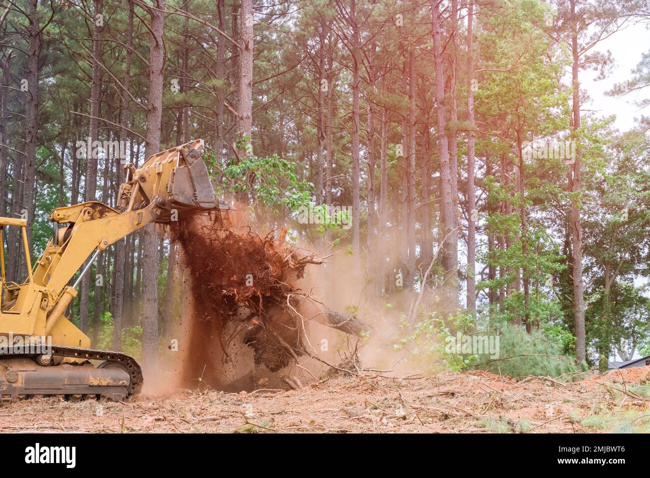 In order prepare ground for subdivision development, tractor skid steers were used to uproot trees that were growing way during construction Stock Photo