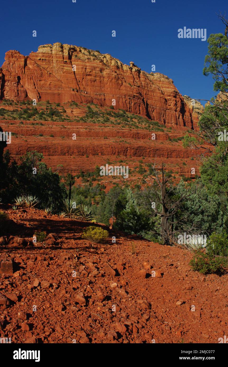 Cliffs in Sedona Arizona II Red Rock and Juniper Trees Stock Photo