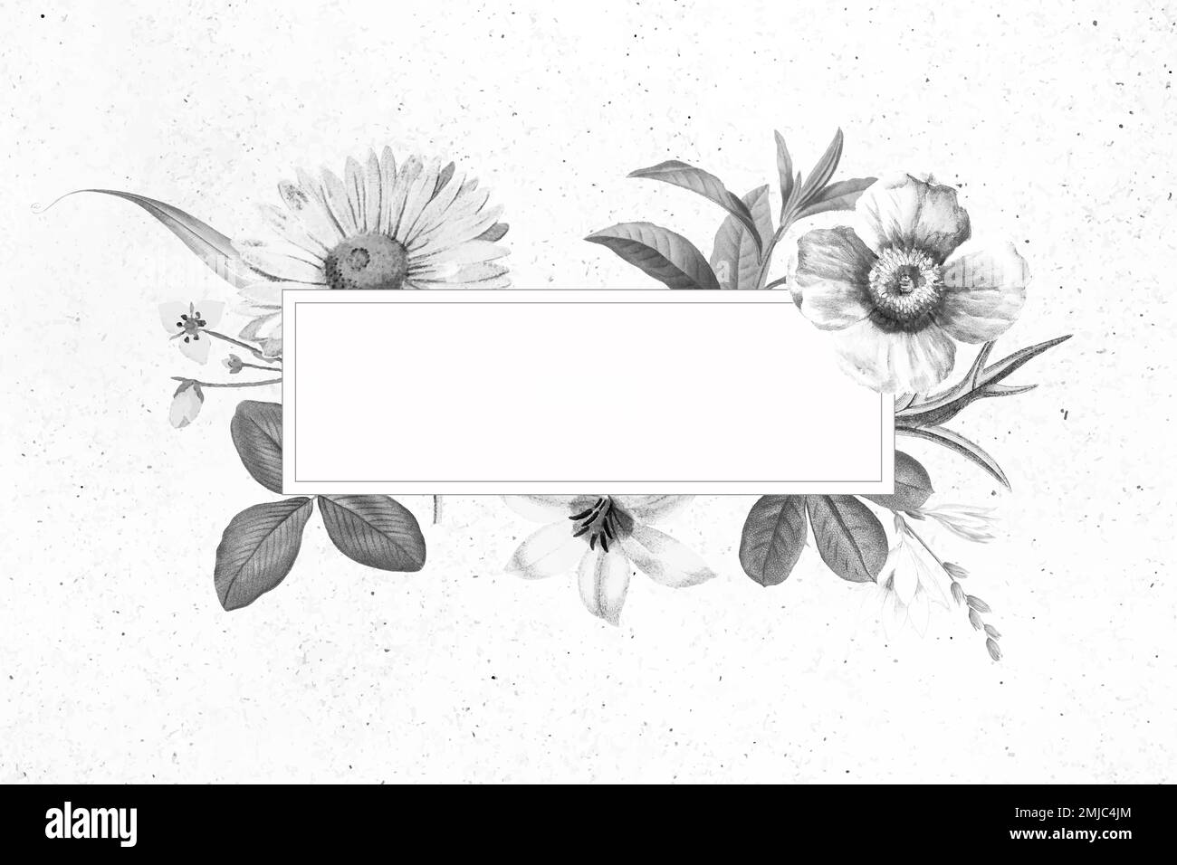 Blank floral banner design vector Stock Vector Image & Art Alamy