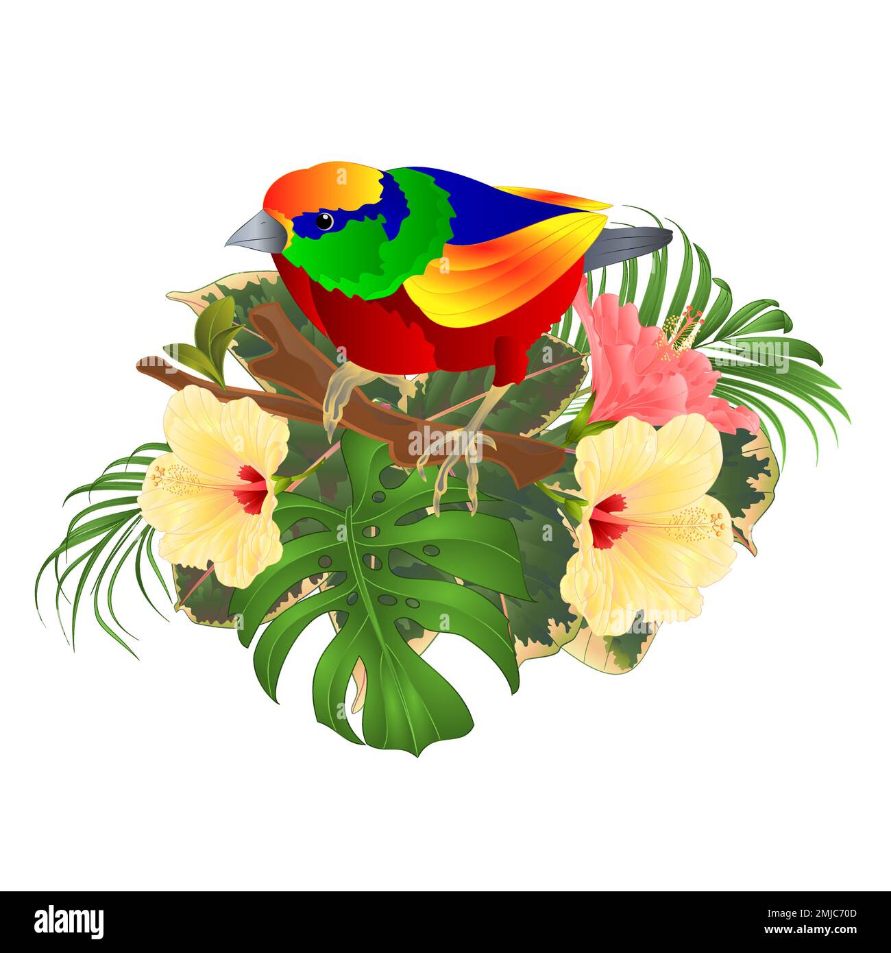 Tropical bird  on a branch bouquet with tropical flowers hibiscus palm,philodendron on a white background vintage vector illustration editable hand dr Stock Vector