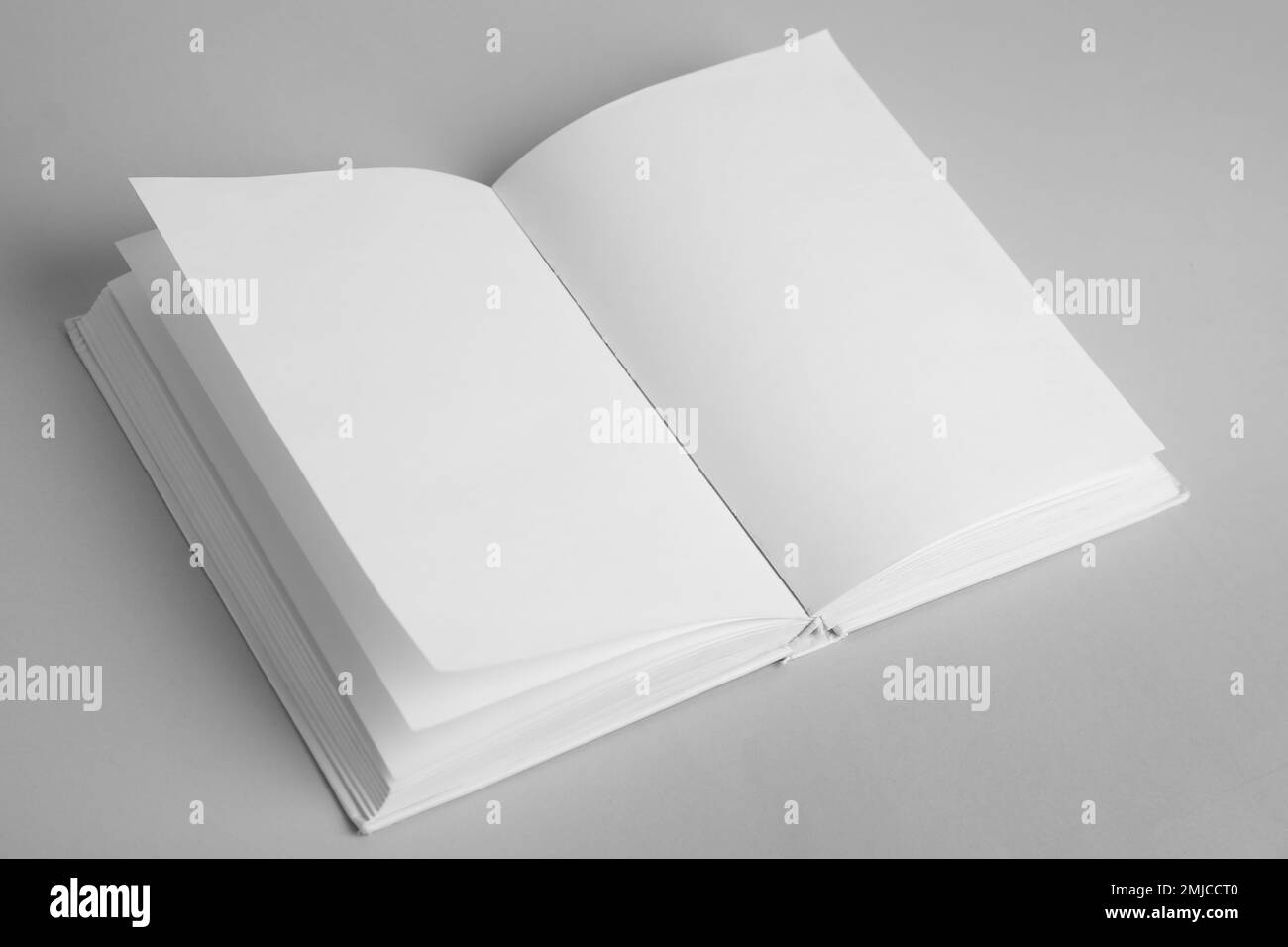 Open book with blank pages on grey background Stock Photo Alamy