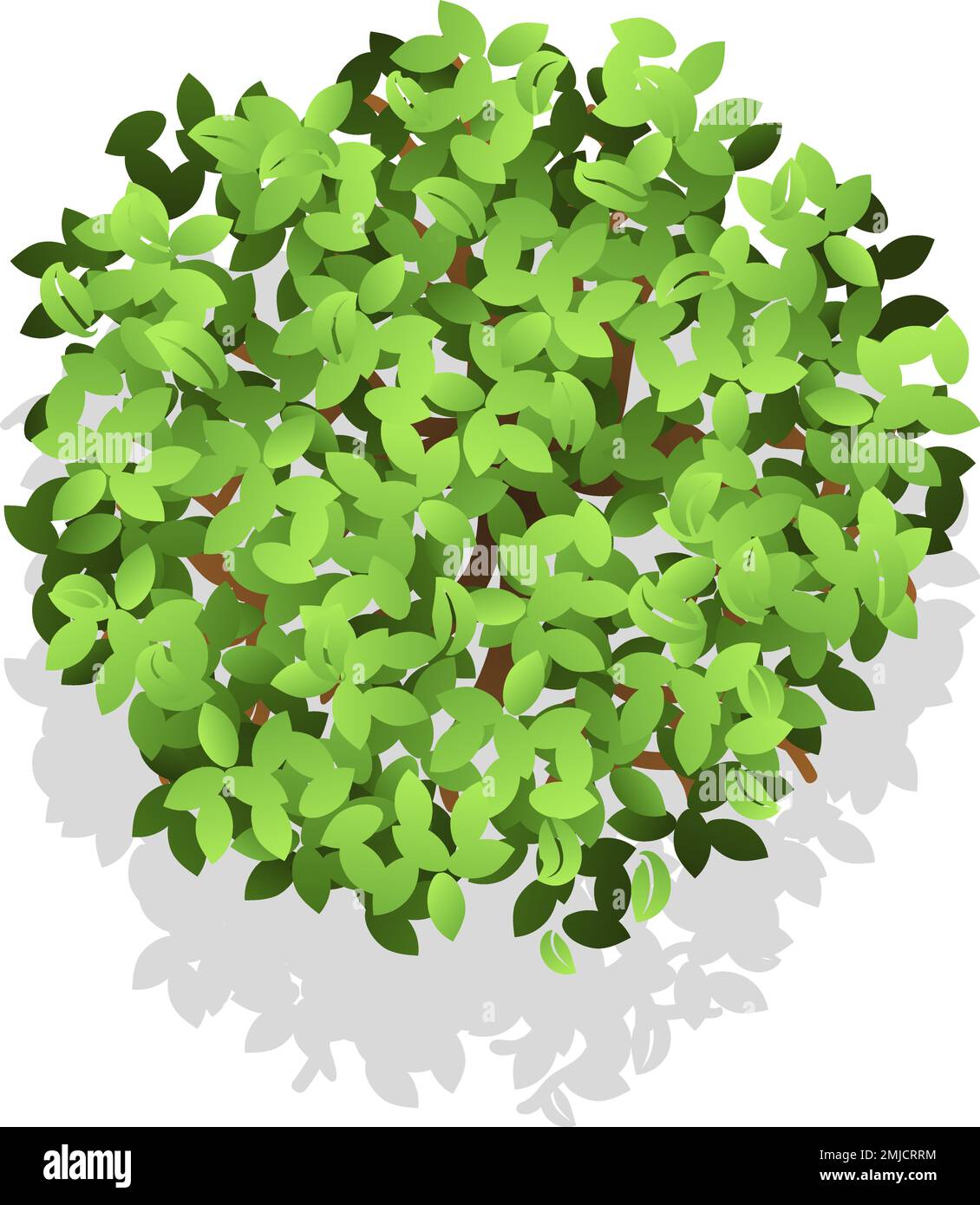 Landscape map element Green plant - Landscape Map Element Green Plant Top View 2MJCRRM 