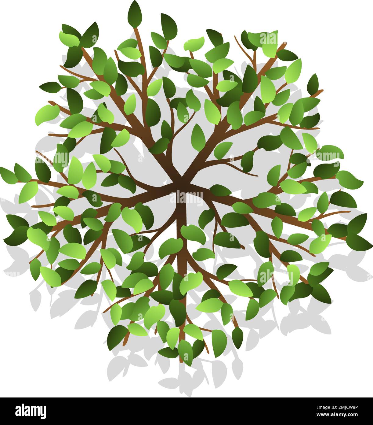 Plant foliage top view for landscape - Plant Foliage Top View For Landscape Map 2MJCW8P 