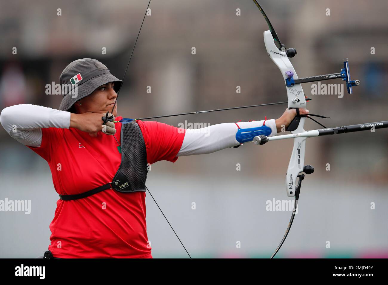 Performance at the Pan American Archery Championships Performance at the Pan American Archery Championships