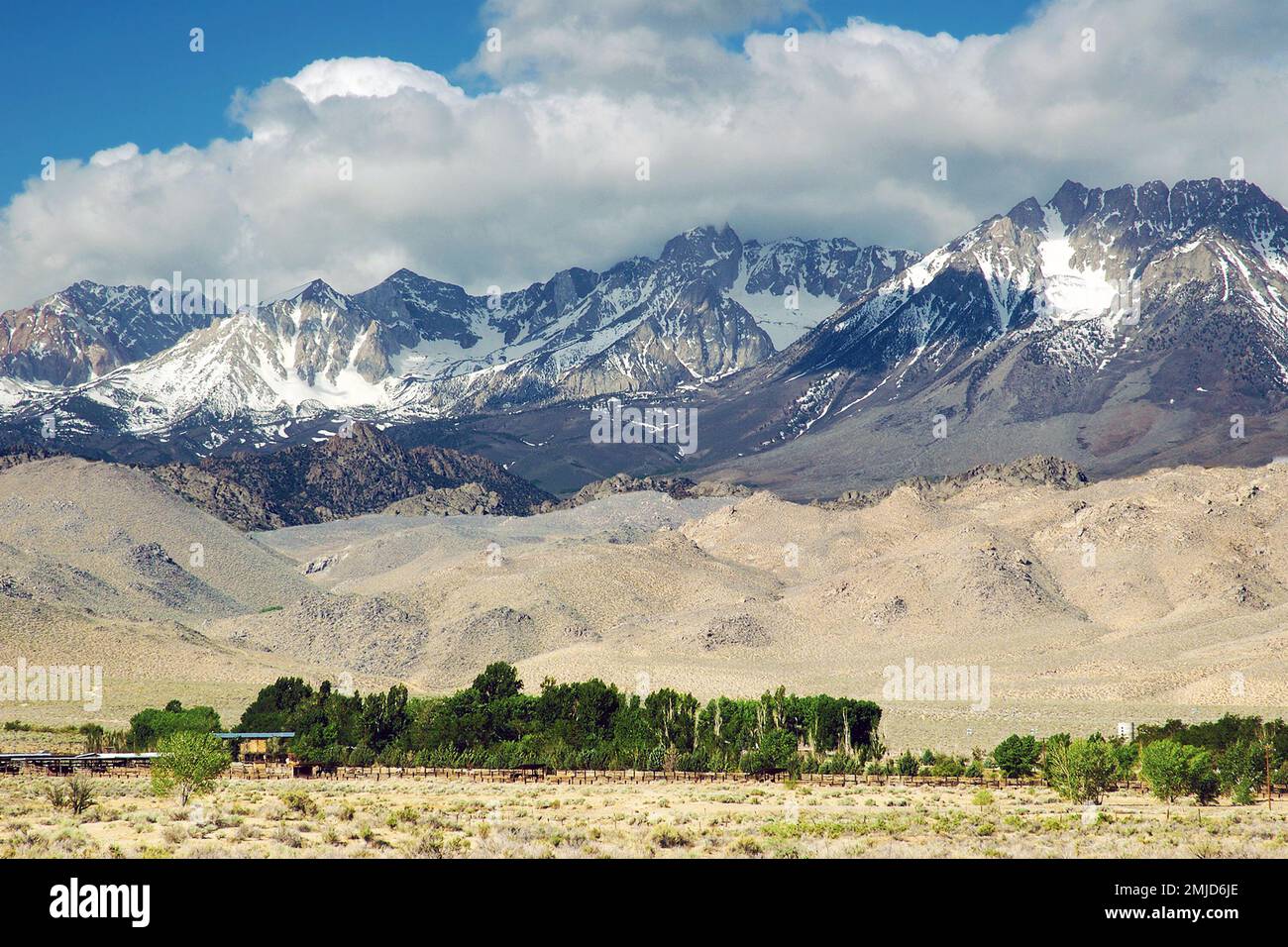 Ranch and Eastern Sierra Mountains, near CA, US, spring Stock