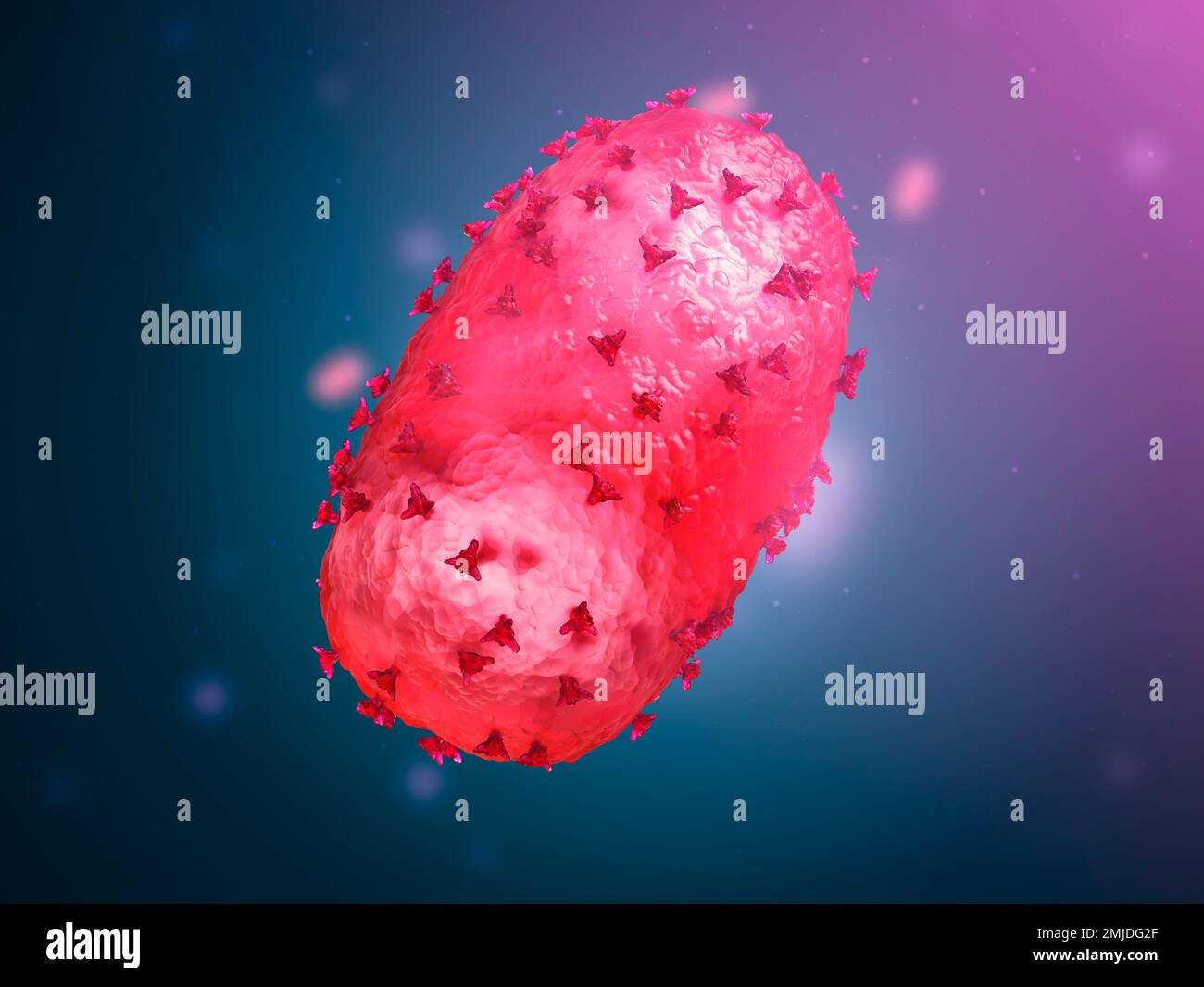 Mpox virus, illustration Stock Photo