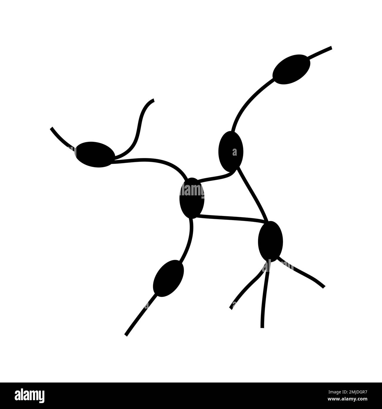 Lymph nodes, conceptual illustration Stock Photo