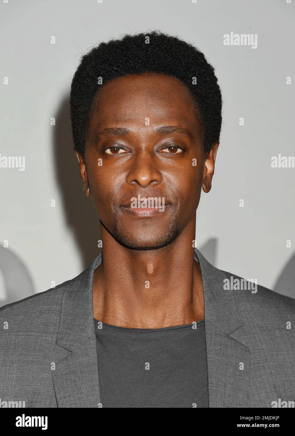 LOS ANGELES, CALIFORNIA - JANUARY 26: Edi Gathegi attends the Los Angeles Red Carpet Premiere Event for Hulu's 'The 1619 Project' at Academy Museum of Stock Photo