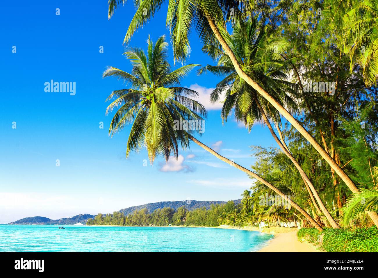 Beautiful tropical island sea beach landscape, turquoise ocean water, yellow sand, sun blue sky white cloud, coconut palm tree leaves, summer holidays Stock Photo