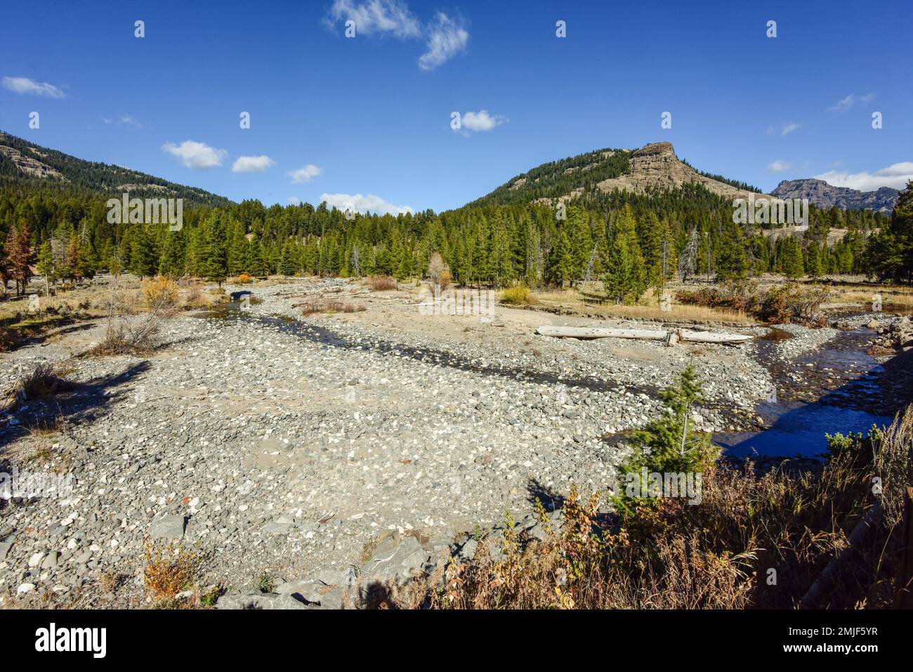 Yellowstone National Park, Wyoming, USA, Lamar Valley road reopens ...