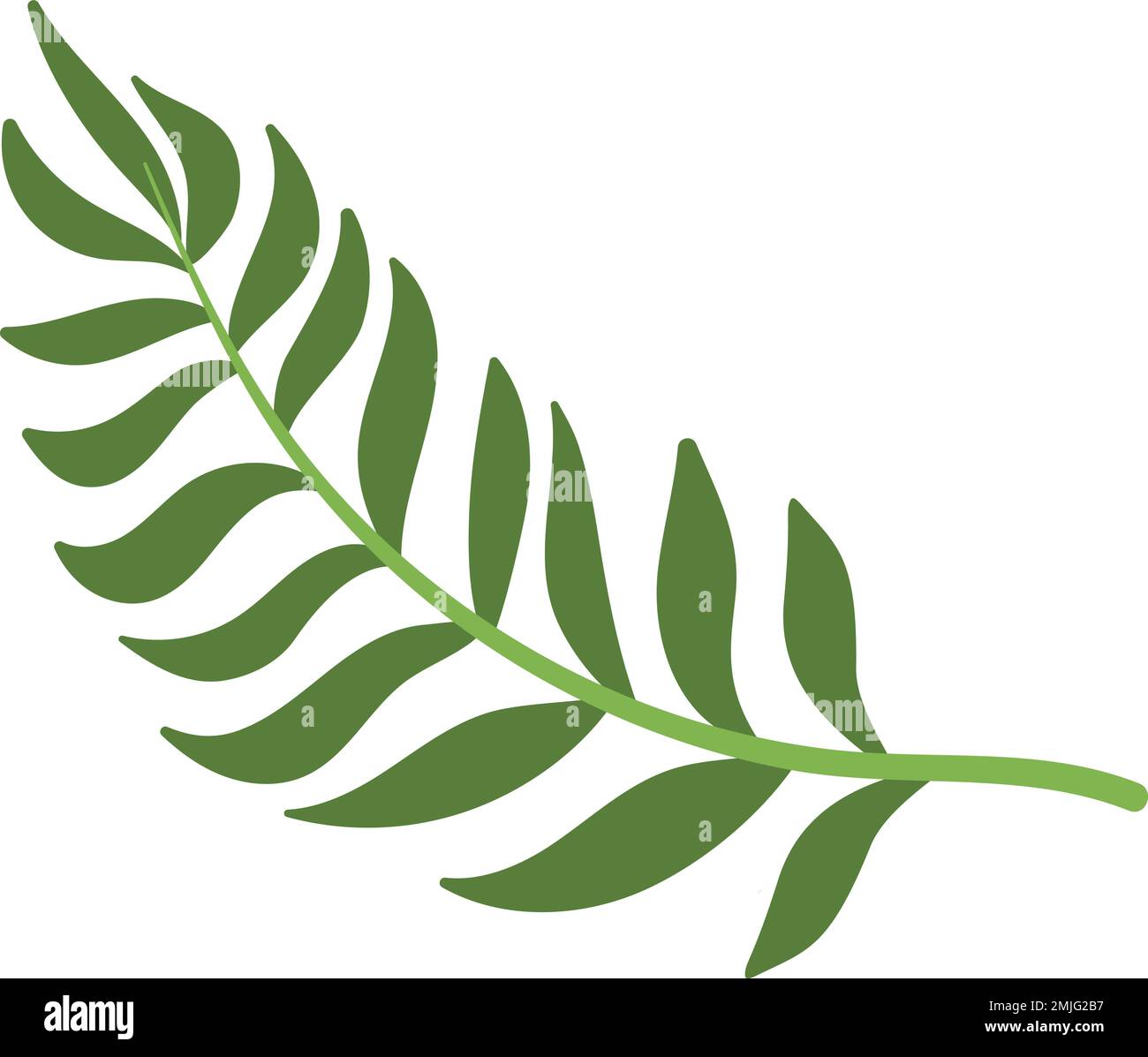 Palm leaf icon. Green jungle tree symbol Stock Vector Image & Art - Alamy