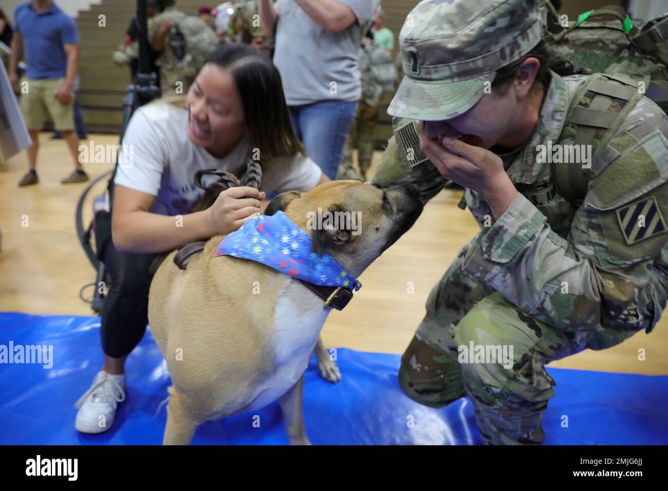 U.S. Army 1st Lt. Gina Kruegler, an ordnance officer assigned to 3rd Battalion, 69th Armor Regiment, 1st Armored Brigade Combat Team, 3rd Infantry Division, reunites with her best friend’s dog, Oscar, during a redeployment ceremony at Fort Stewart, Georgia, Aug. 29, 2022. The ceremony was held at Newman Gym to mark the redeployment of the brigade after a six-month deployment to Grafenwoehr Training Area, Germany. Stock Photo