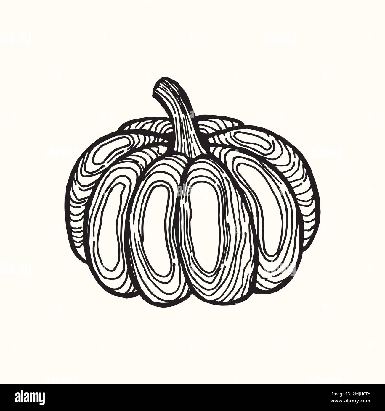 and-drawn stylized image of pumpkin. Graphic black and white image ...