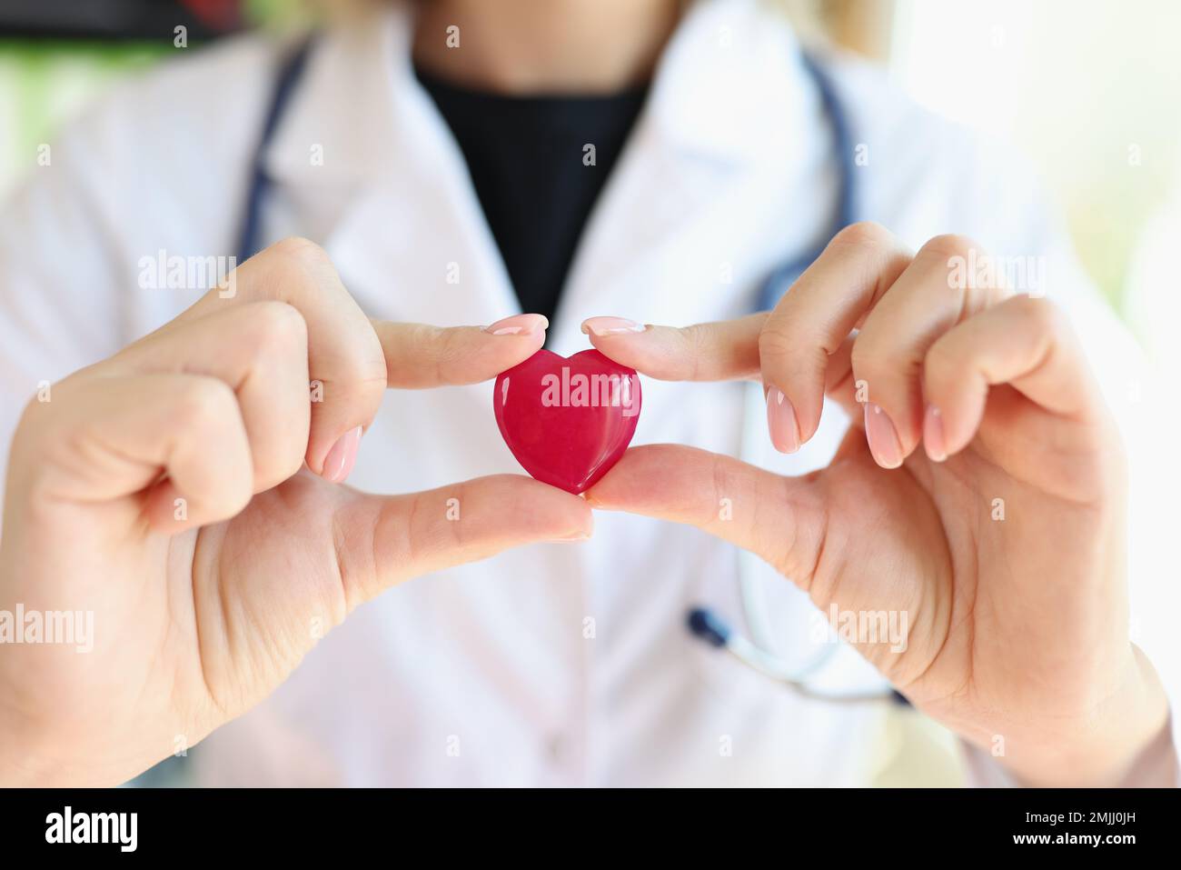 Woman cardiologist holds small red heart in her hands close up. Stock Photo