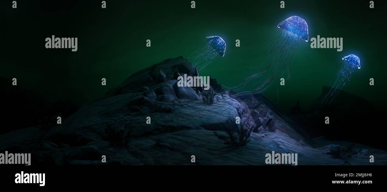 Rocky floor underwater hi-res stock photography and images - Alamy