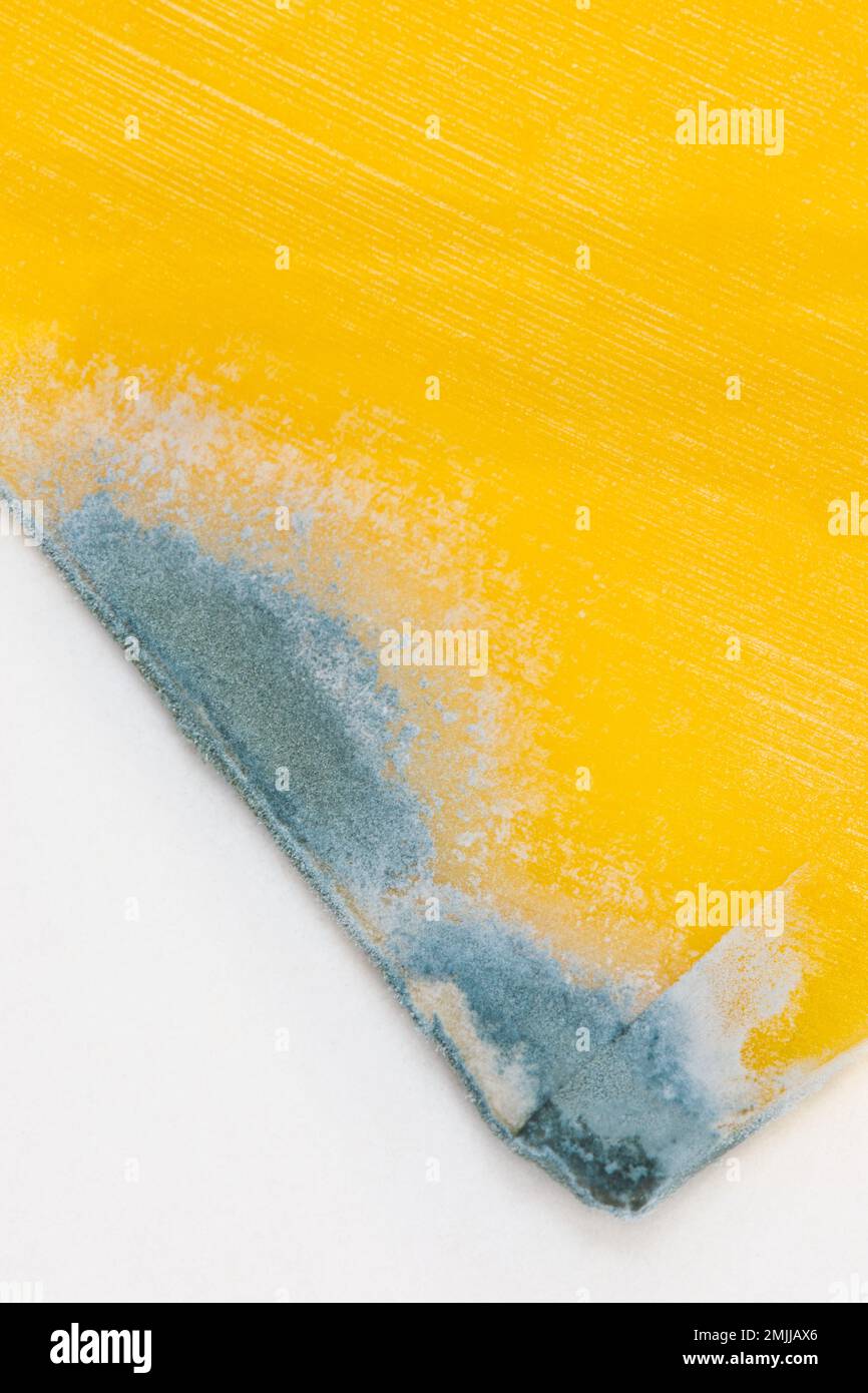 Cheddar cheese partial slice with mold growing on the corner. Flat lay
