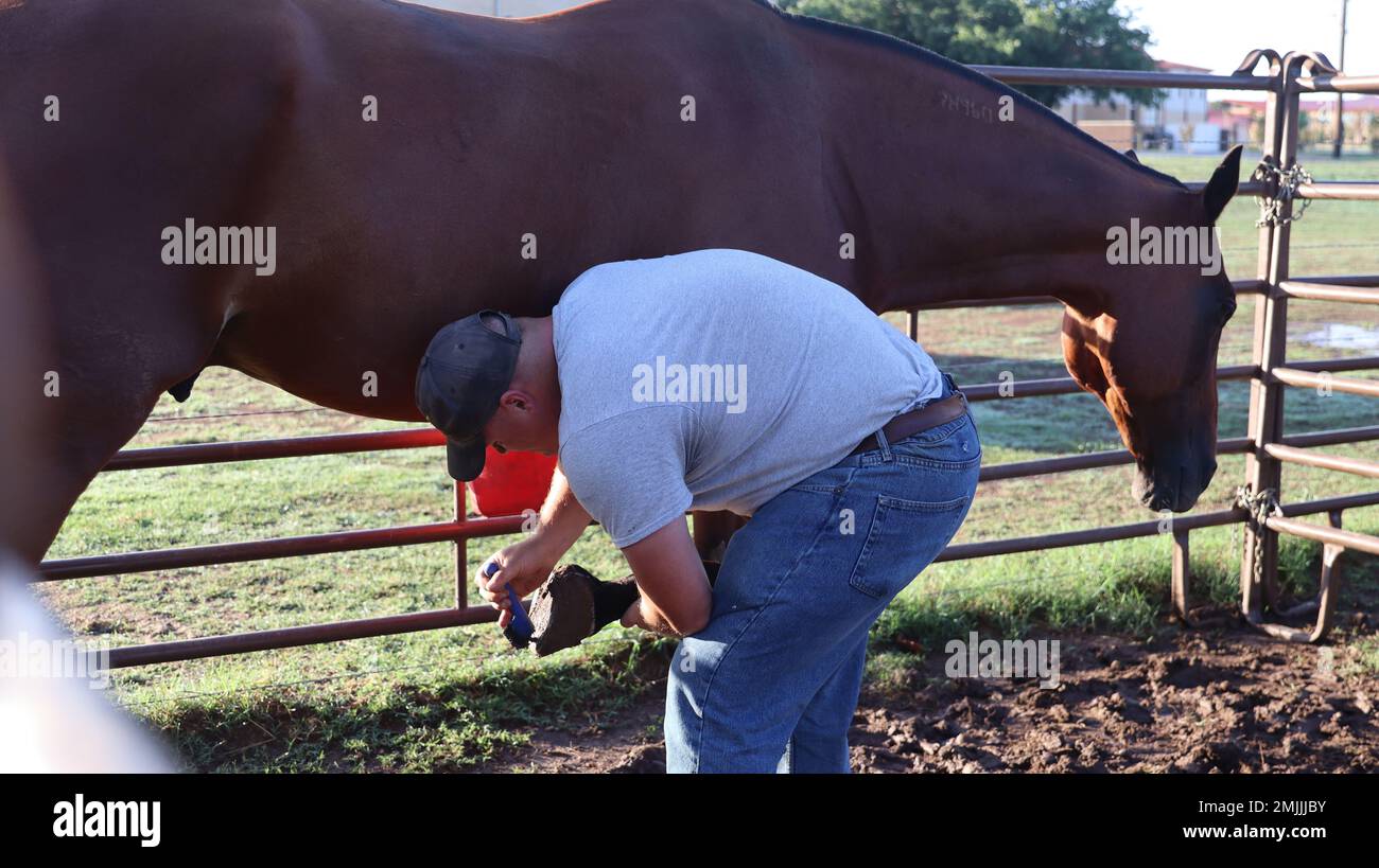 Handler Helper Matt Spc. Matthew Smith (handler) picks Artillery Half Section McDonald's ...