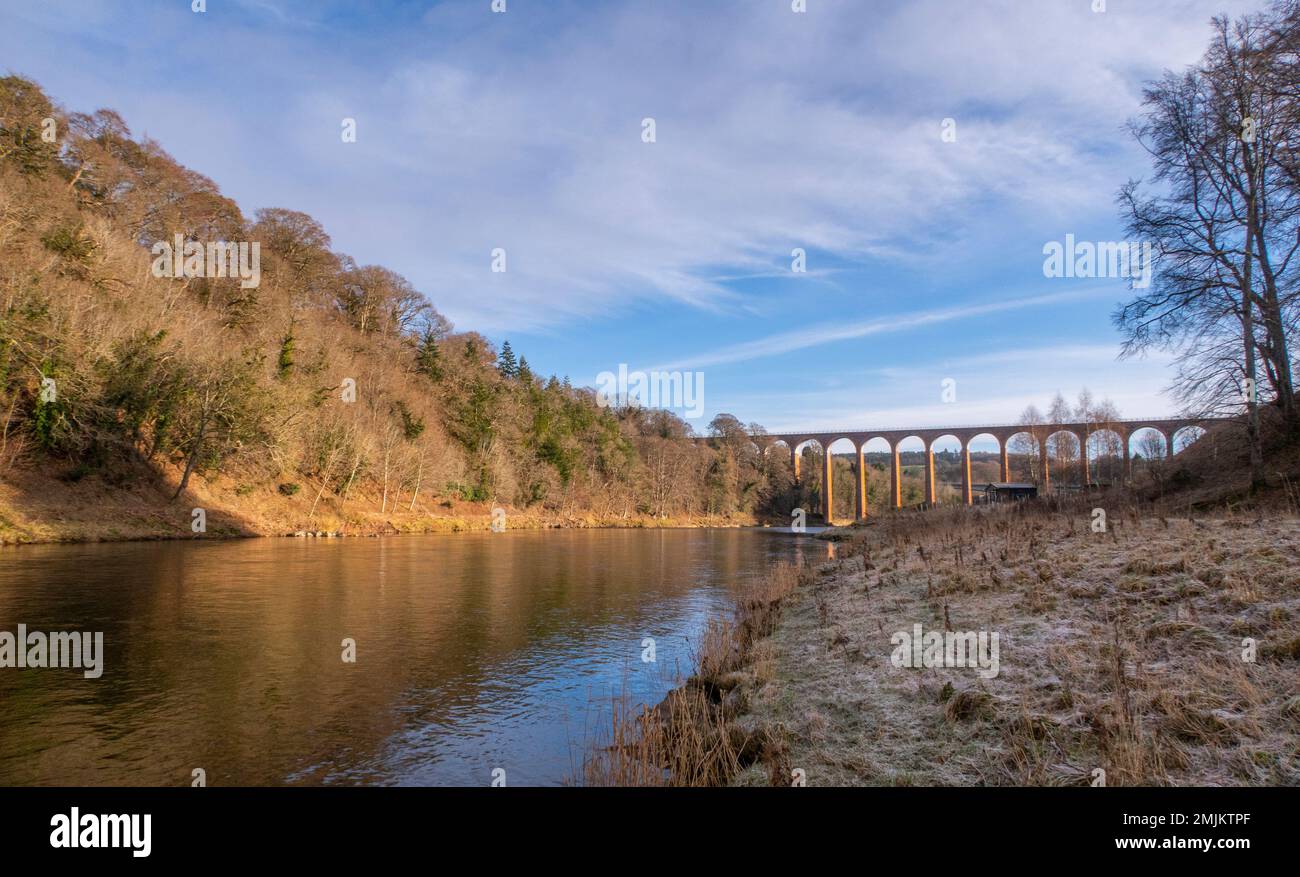 Leaderfoot, River Tweed, Scottish Borders, UK. 27th Jan, 2023. UK