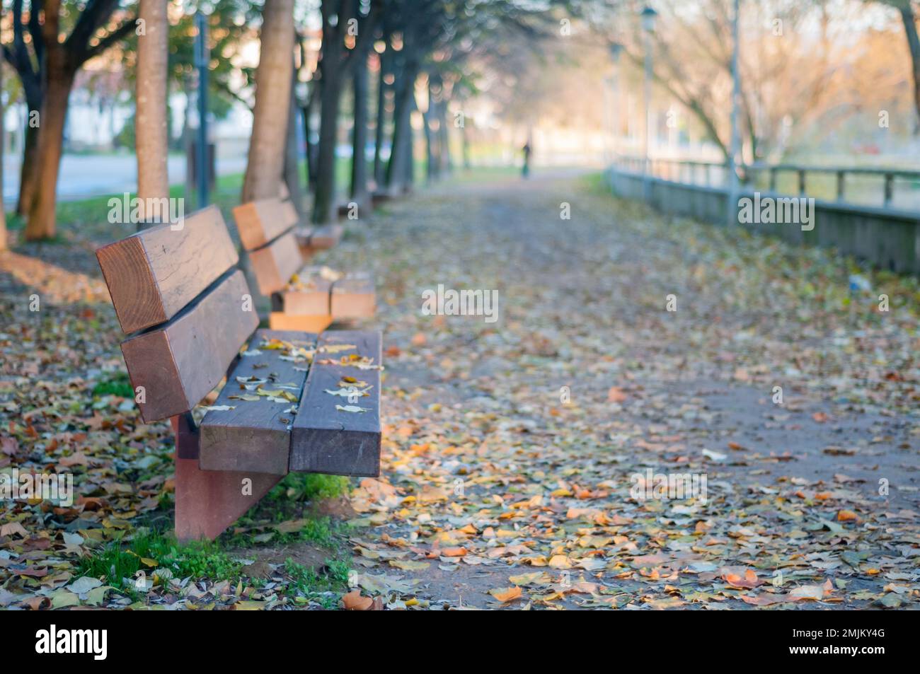 wooden bench on the street, nobody, Manlleu, Catalonia, Spain Stock Photo