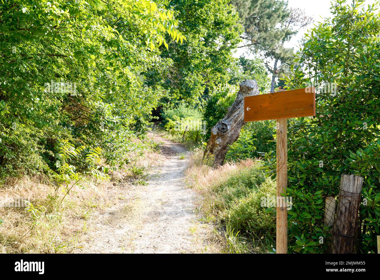 empty wooden sign road front of outdoor pathway in nature forest park ...