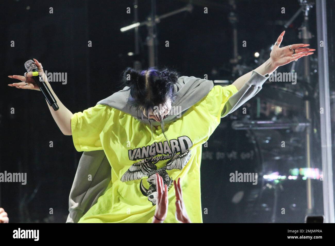 Billie Eilish Performs at Cadence Bank Amphitheatre at Chastain Park on