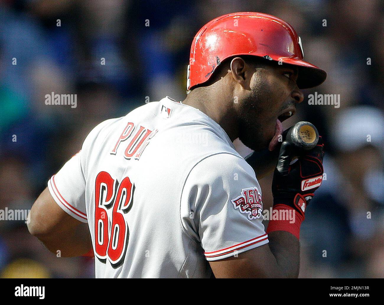 Cincinnati Reds' Yasiel Puig licks his bat after hitting a foul ball during  the fifth inning of a baseball game against the Milwaukee Brewers,  Saturday, June 22, 2019, in Milwaukee. (AP Photo/Aaron
