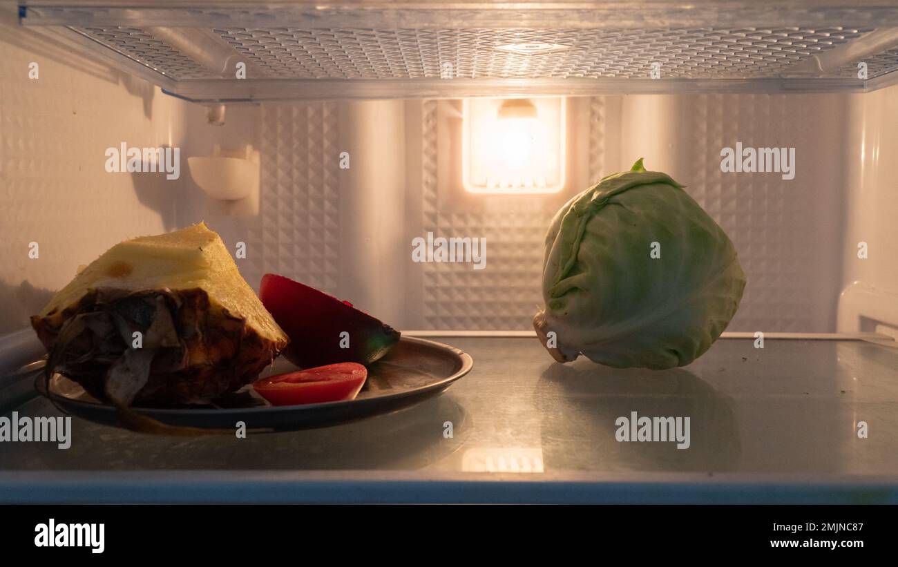 Fruits and vegetables on the shelf in the fridge, nothing to eat