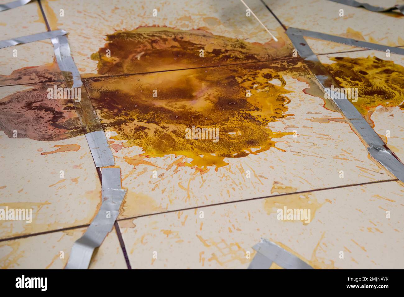 Criminological expert collecting evidence at the crime scene. Law and ...