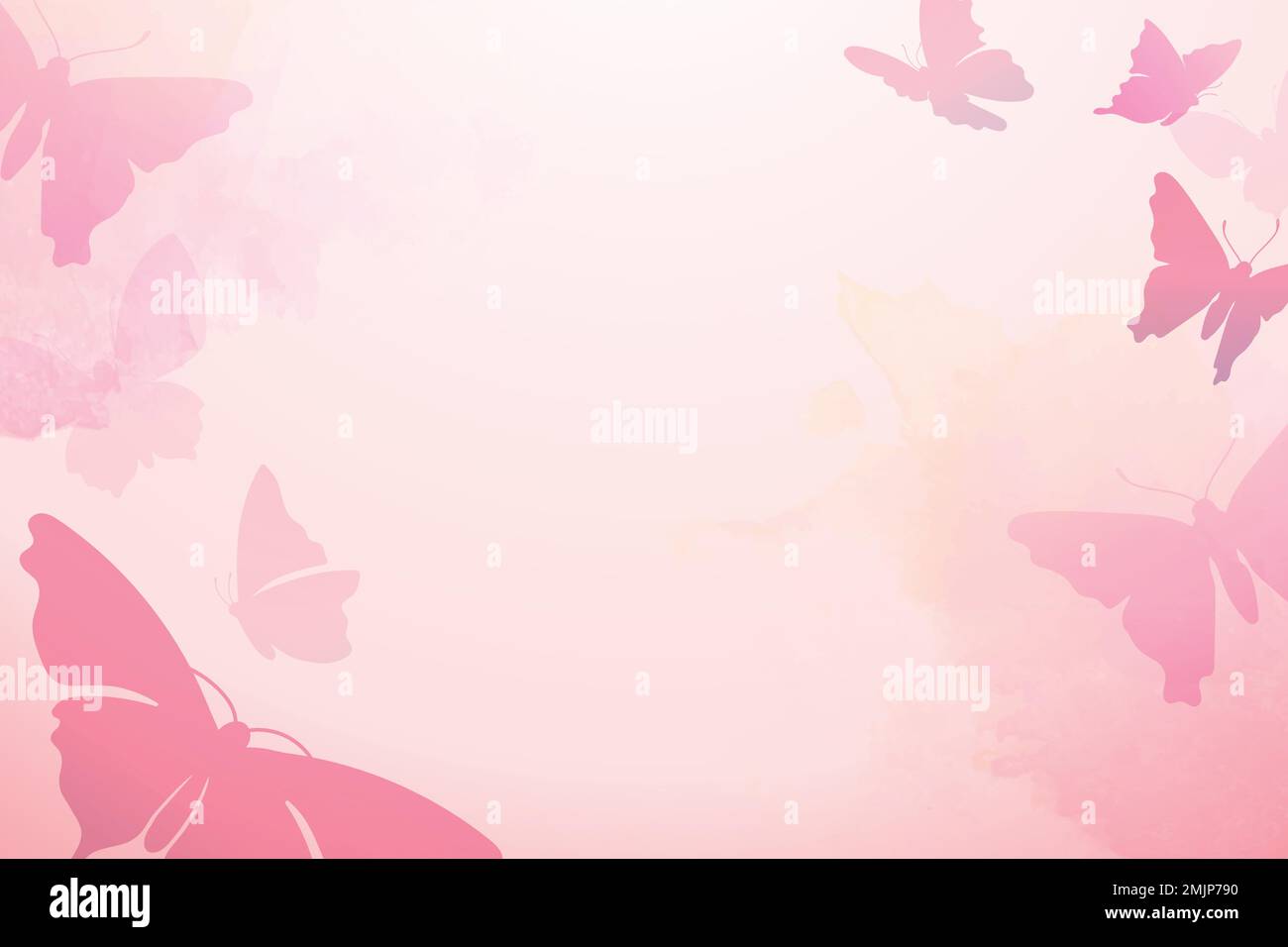 Feminine butterfly background, pink border, vector animal illustration 