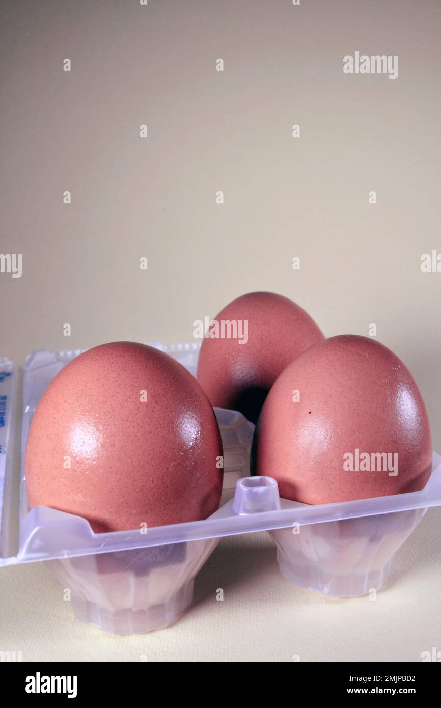 Breeding preparation hi-res stock photography and images - Alamy