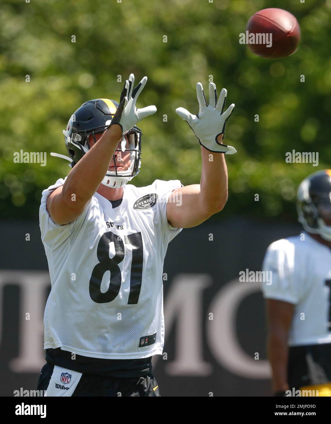 Pittsburgh Steelers tight end Zach Gentry (81) plays in an NFL