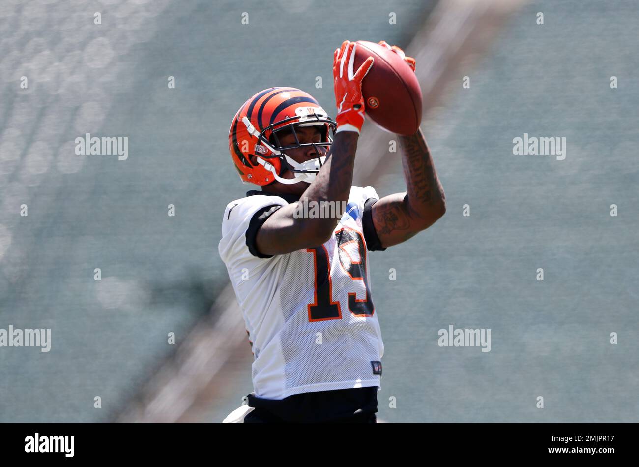 Cincinnati Bengals wide receiver Auden Tate catches a pass during an