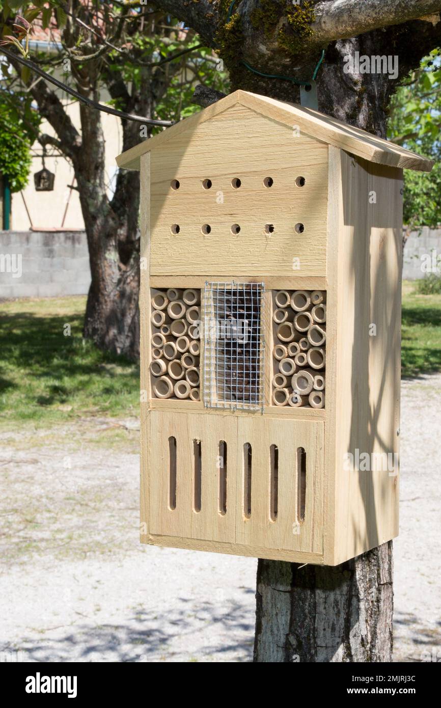 Wooden insect house decorative bug hotel ladybird and bee home in house