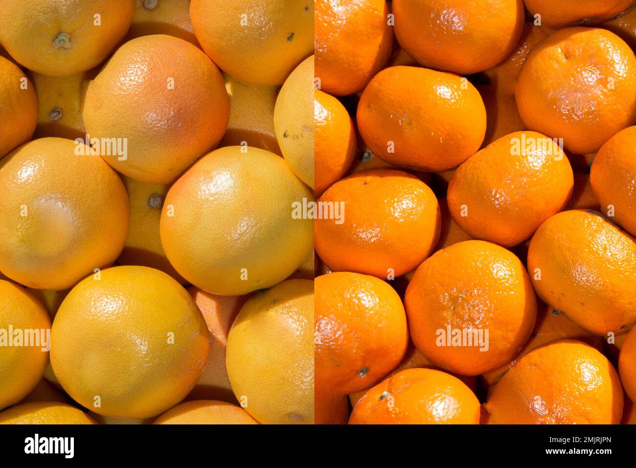 Bunch of fresh mandarin oranges and grapefruit on market Stock Photo