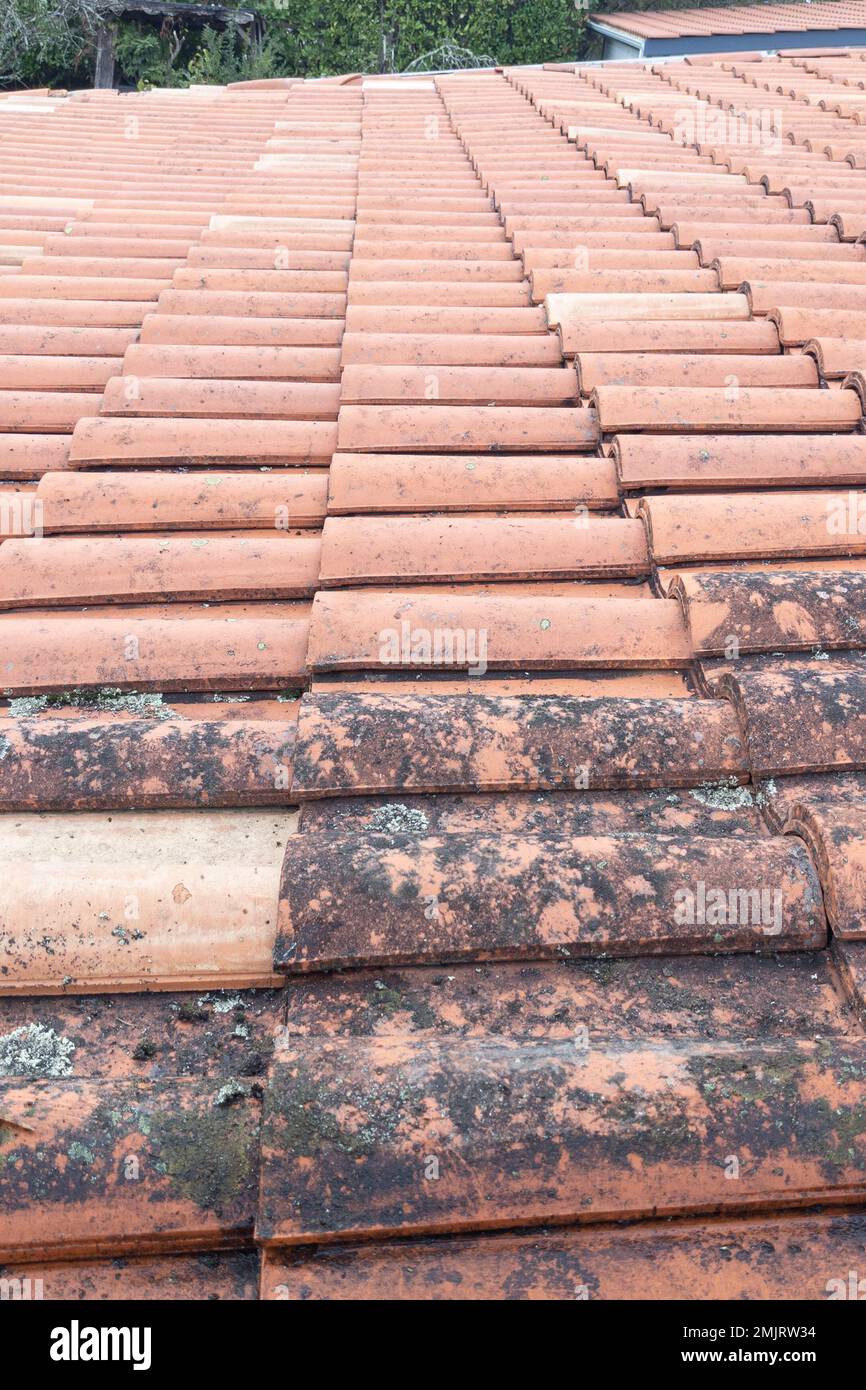 Comparison clean tiles roof top before and after cleaning moss lichen