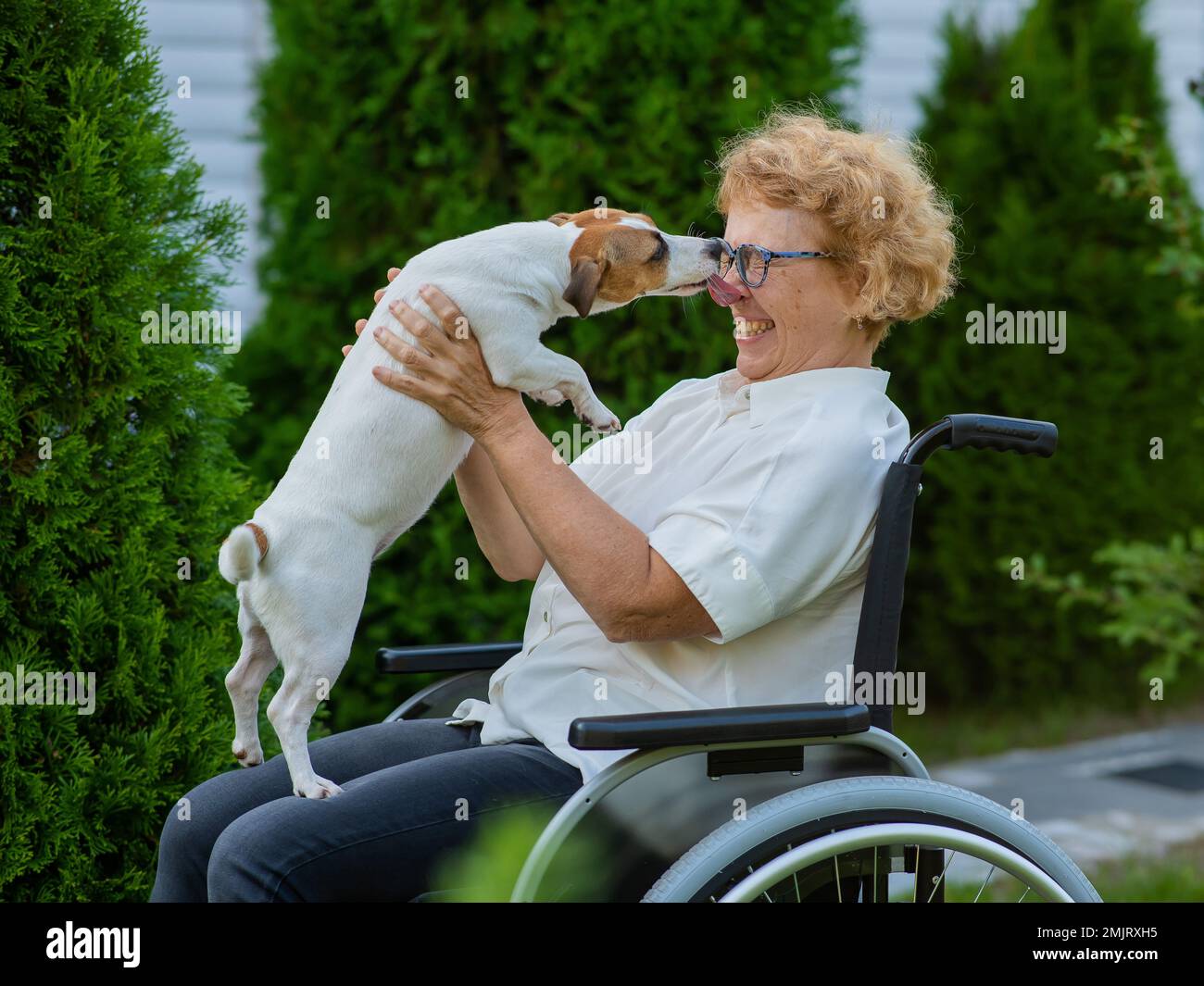 Elderly caucasian woman hugging a jack russell terrier dog while