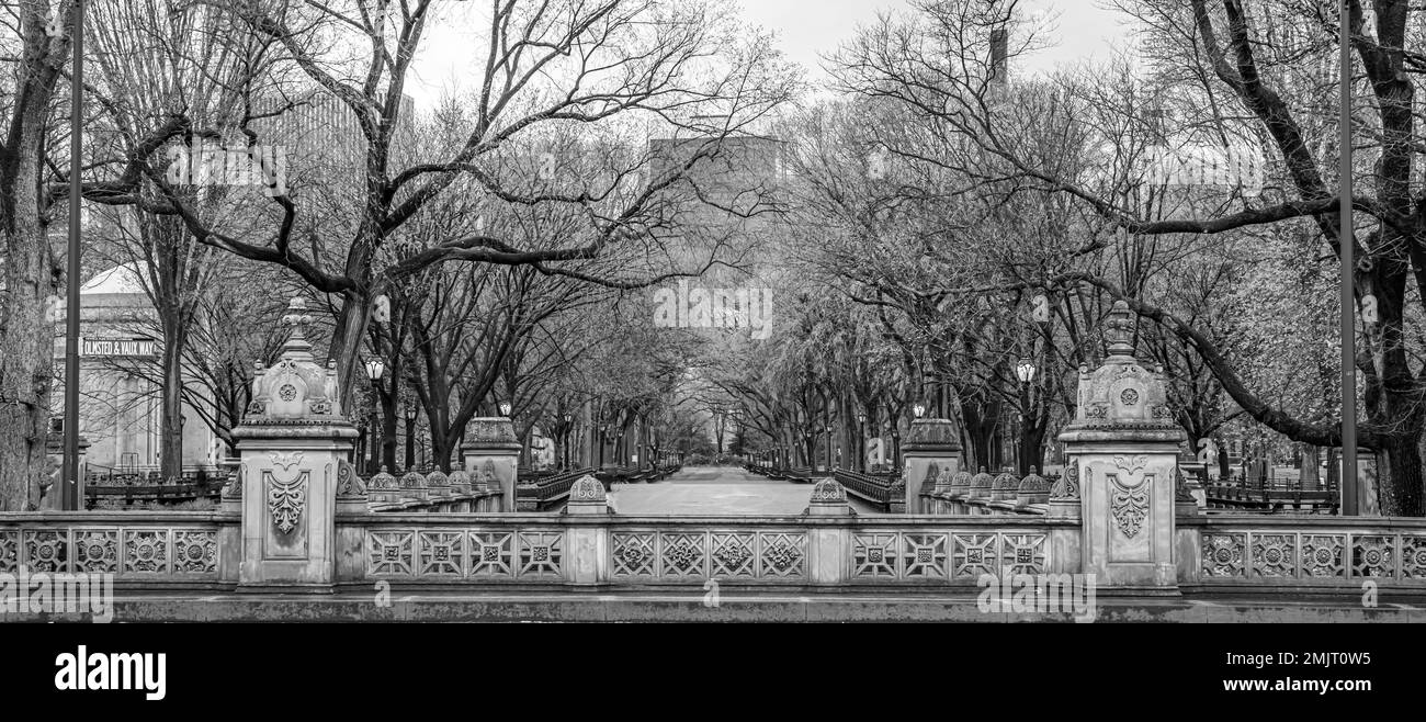 The Mall in Central Park, New York City Stock Photo Alamy