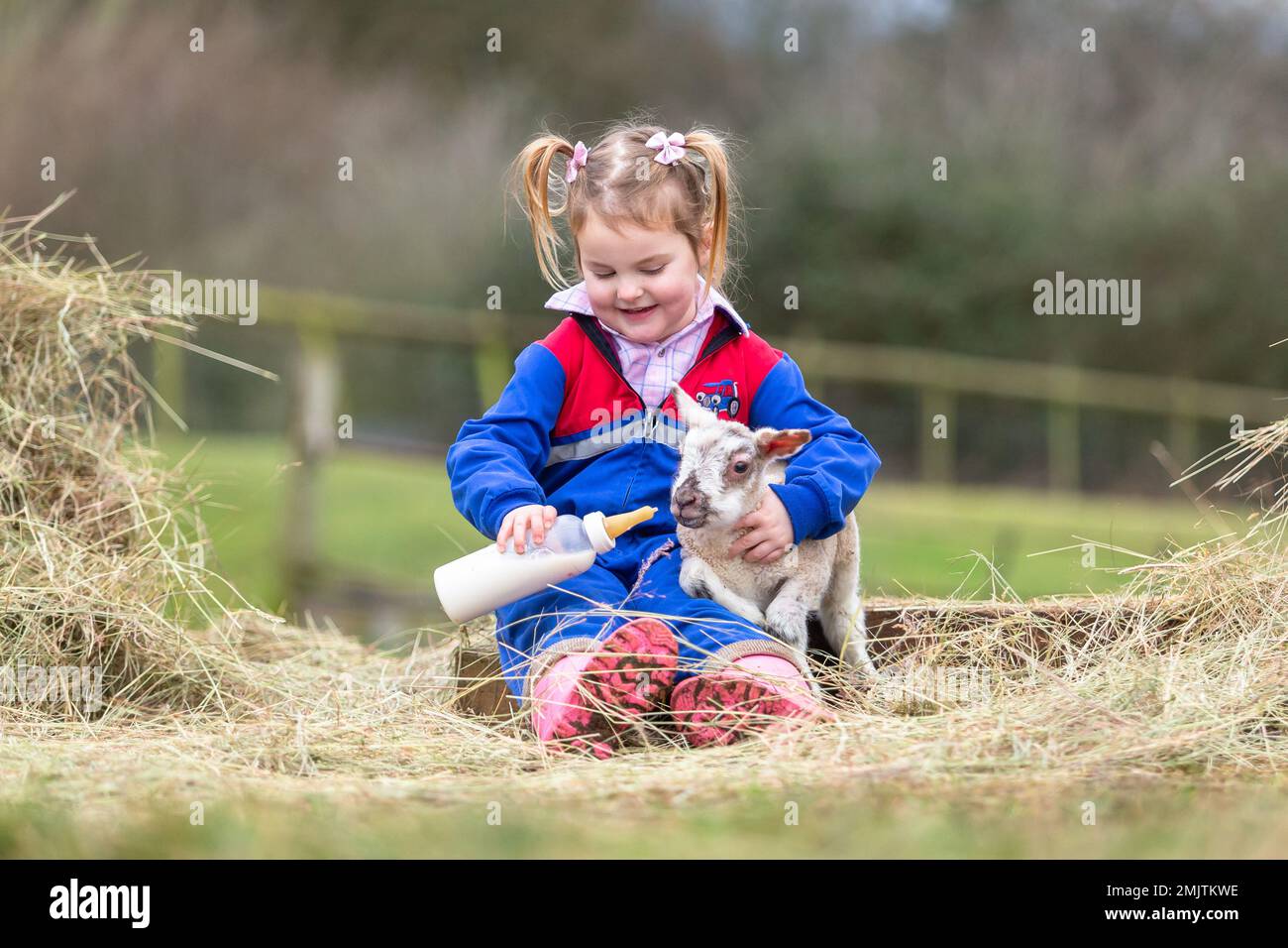 Arley, Worcestershire, UK. 28th Jan, 2023. 3-year-old Myla Mills tempts a two day old lamb with milk in her family's farmyard in Arley, Worcestershire. Early lambs are produced when the ram is free to tup the ewes over winter. Credit: Peter Lopeman/Alamy Live News Stock Photo