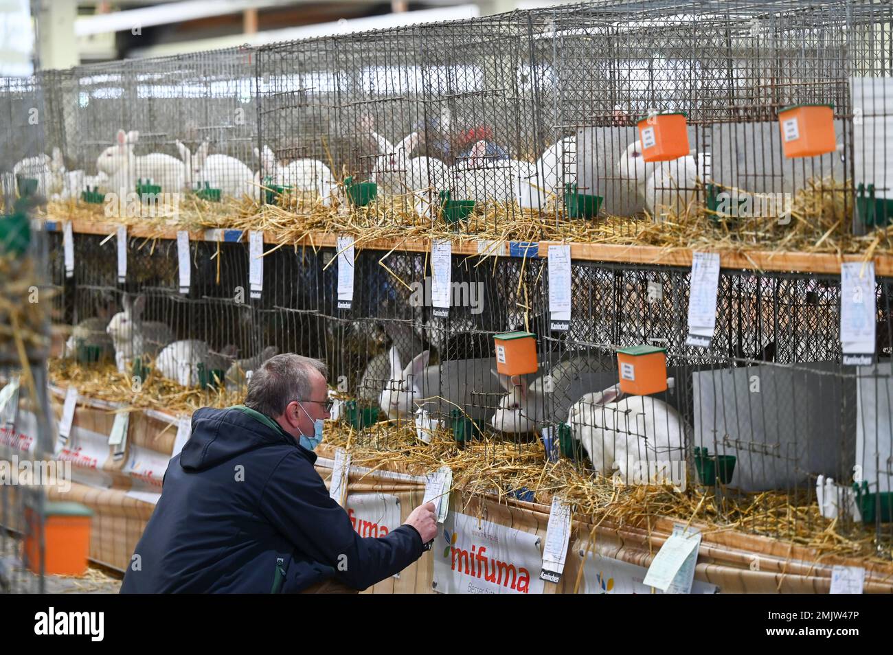 Kassel, Germany. 28th Jan, 2023. A man looks at white giants at the ...