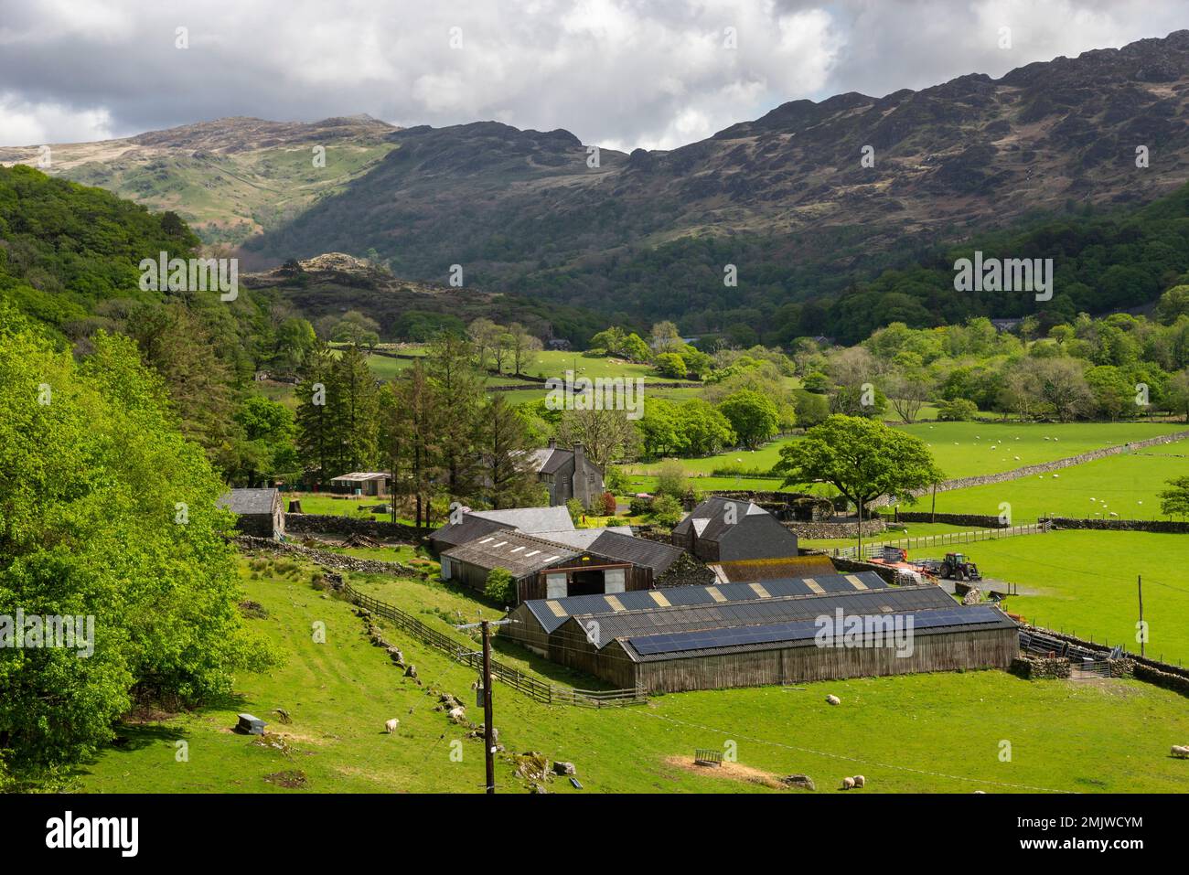 Farm at Nant Gwynant in Snowdonia national park, North Wales. Spring sunshine on the landscape. Stock Photo