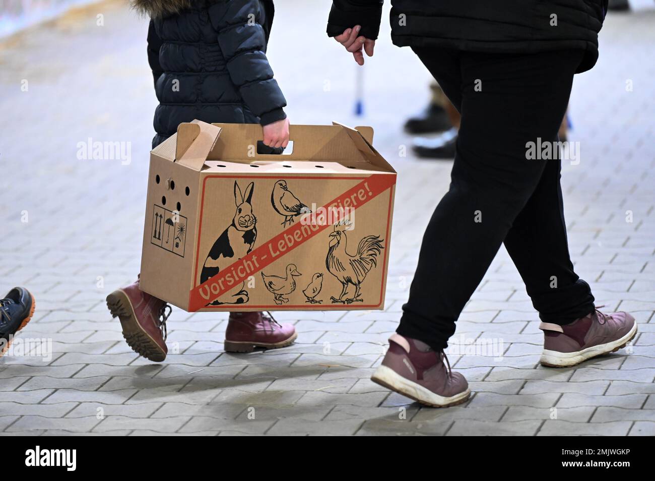 Kassel, Germany. 28th Jan, 2023. A girl carries a cardboard box for ...
