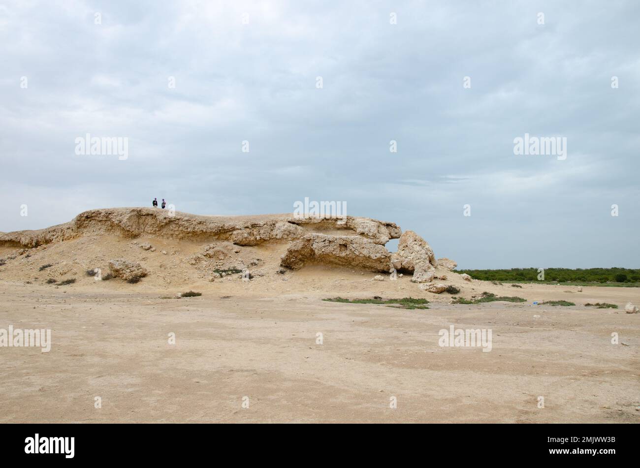 Limestone Qatar Limestone hillocks at Purple Island at Al Khor in Qatar Stock Photo - Alamy