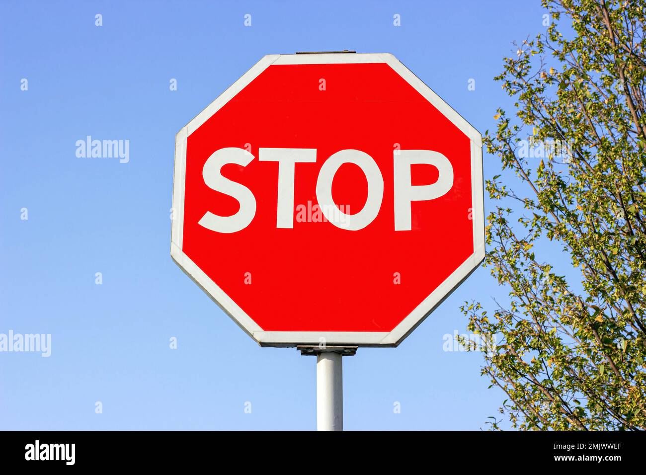 Bright red and white Stop traffic sign against the blue sky Stock Photo ...