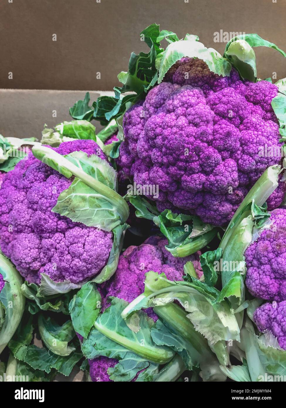 Few heads of purple hybrids of cauliflower in cardboard box. Sale of